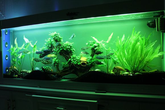 搬家会越搬越穷?这些风水知识必须一定要记住(图1) 淄博搬家公司哪家好?